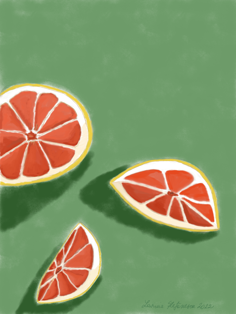 Lavinia Stefanescu Art